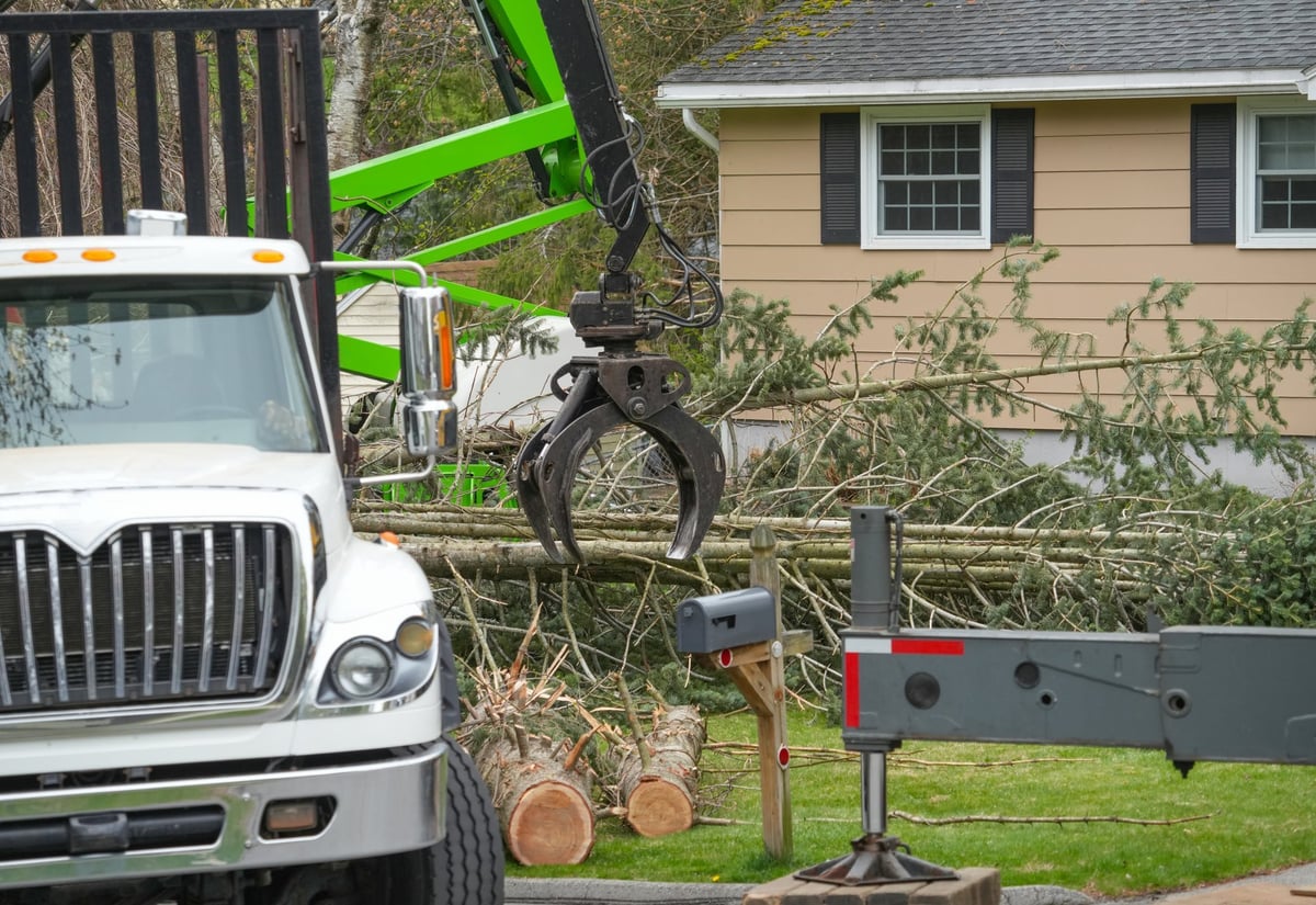A removed tree trunk being lifted by a crane in a residential area