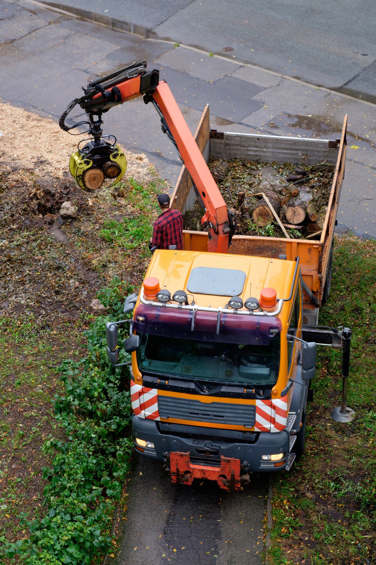 Tree debris being loaded for removal by heavy equipment