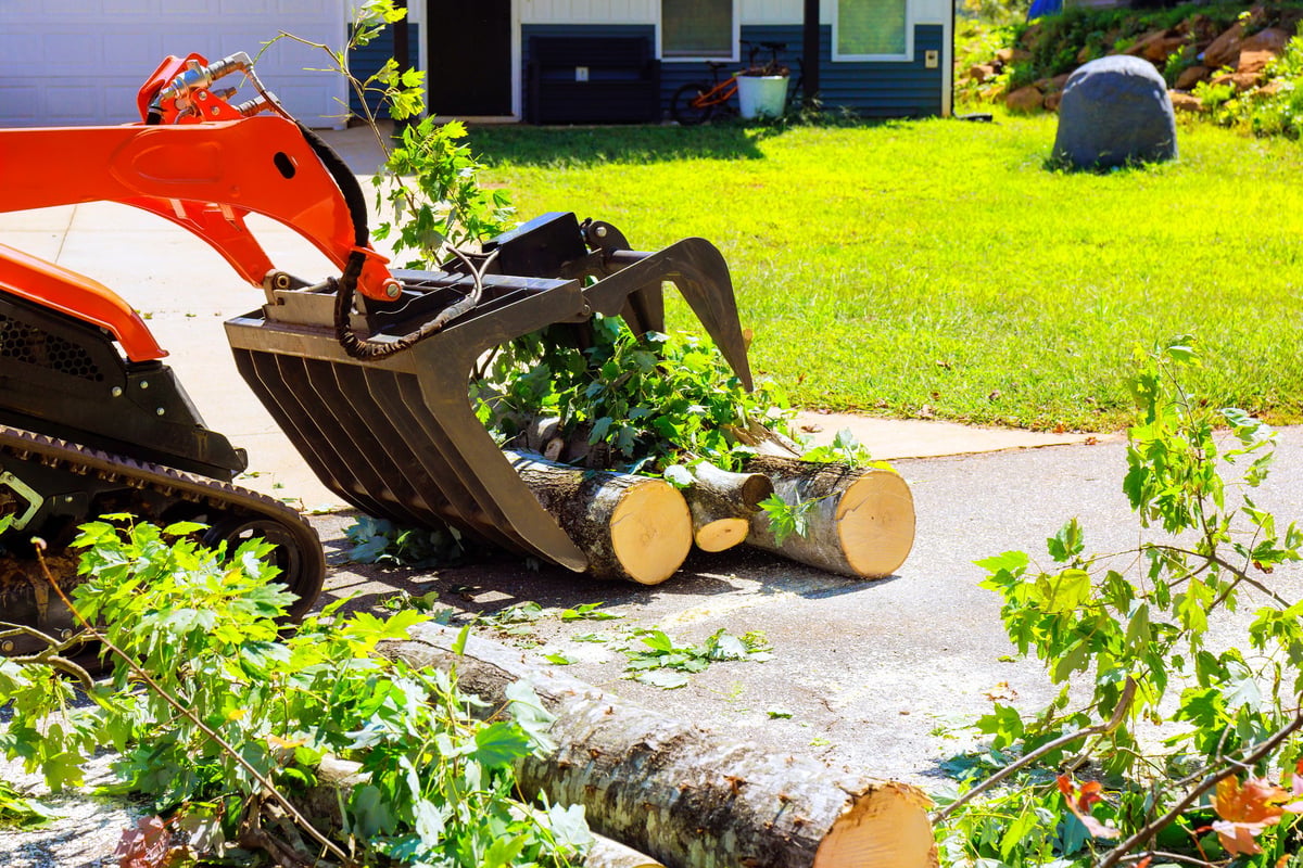Crawler tractor machinery lifting logs and branches in a yard after tree removal